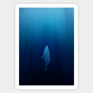 Whale in the Deep Ocean Sticker